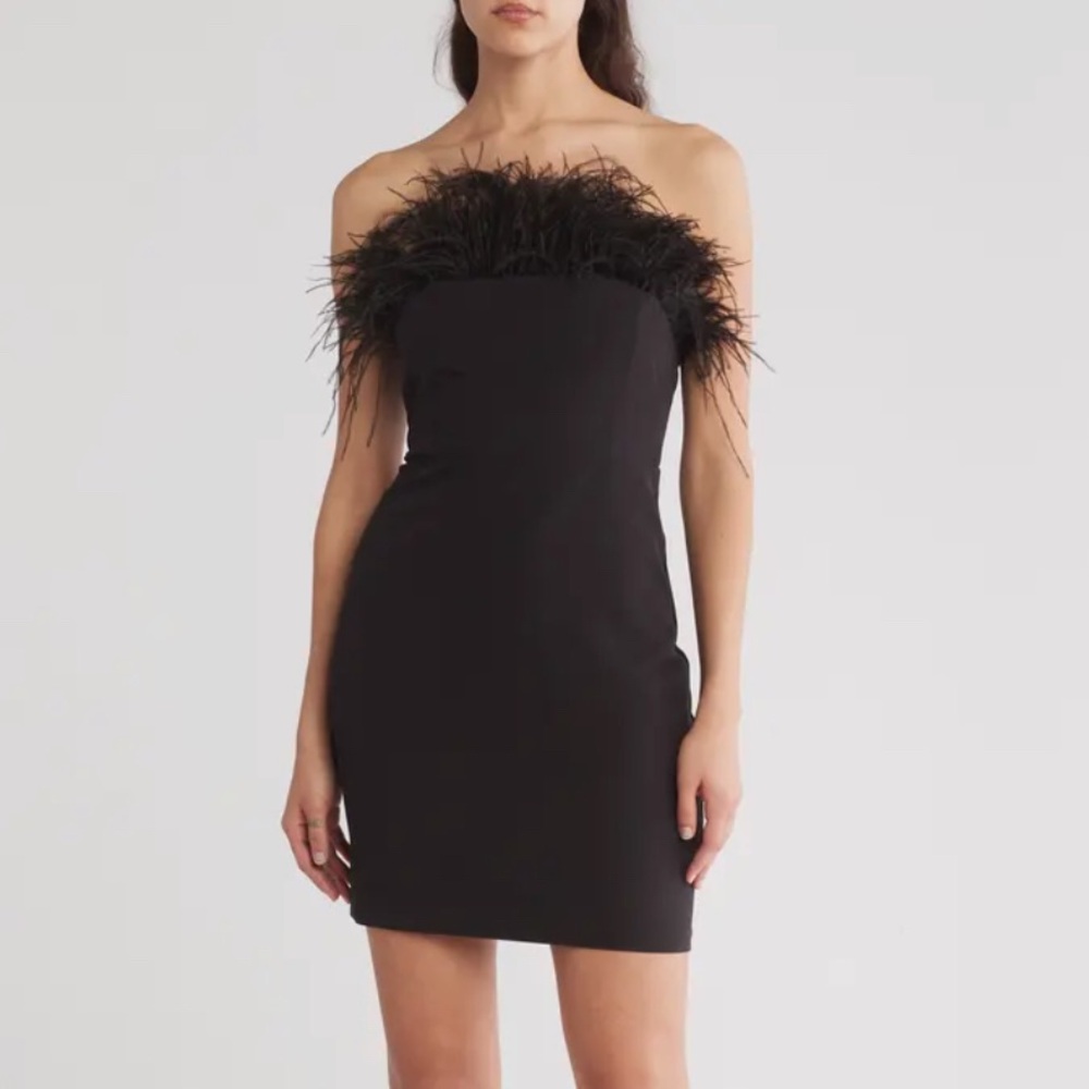 Sam Edelman Feathered Dress NWT